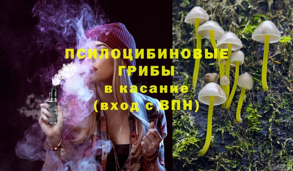 дмт Сосновоборск